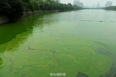 珍愛生命之水 聚焦水污染與治理，守護藍色家園