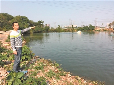 完善廣佛跨界區(qū)域水污染治理 獅山以環(huán)保技術(shù)服務驅(qū)動產(chǎn)業(yè)轉(zhuǎn)型 關(guān)閉養(yǎng)殖場121戶