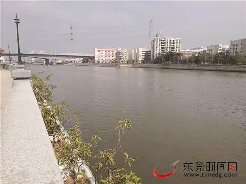 東莞扎實推進各項治水工作 水污染治理卓有成效